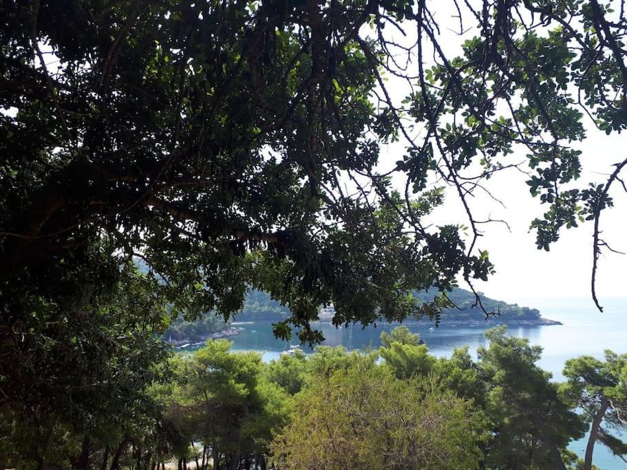 Apartment Kristic - Saplunara, Mljet Babino Polje Extérieur photo