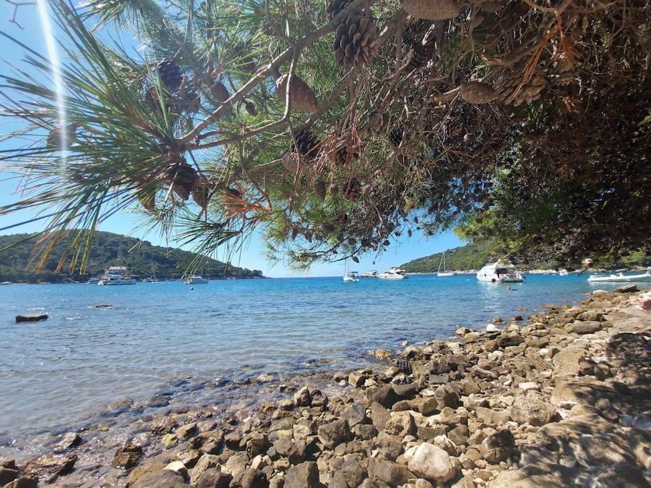 Apartment Kristic - Saplunara, Mljet Babino Polje Extérieur photo