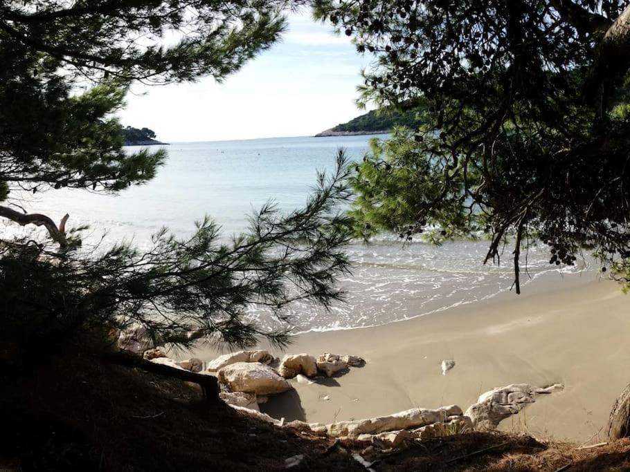 Apartment Kristic - Saplunara, Mljet Babino Polje Extérieur photo