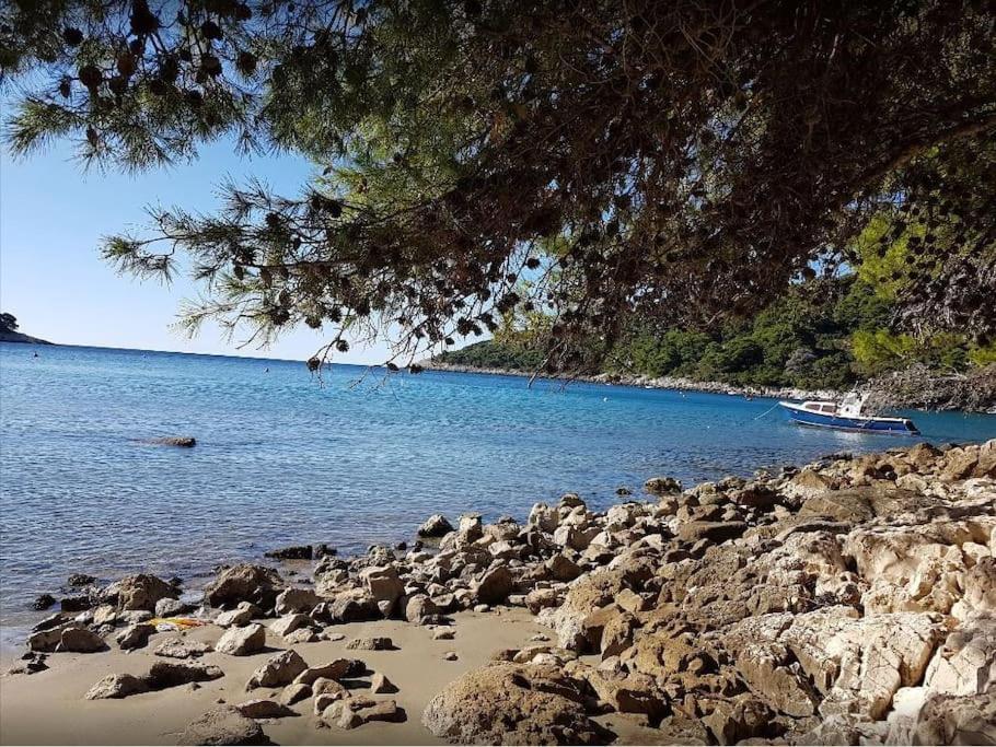 Apartment Kristic - Saplunara, Mljet Babino Polje Extérieur photo