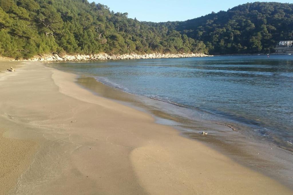Apartment Kristic - Saplunara, Mljet Babino Polje Extérieur photo