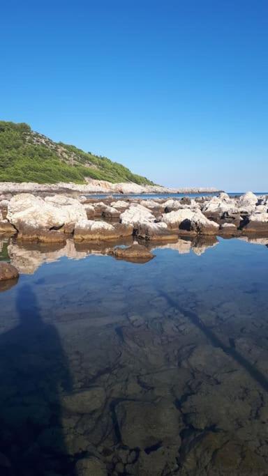 Apartment Kristic - Saplunara, Mljet Babino Polje Extérieur photo