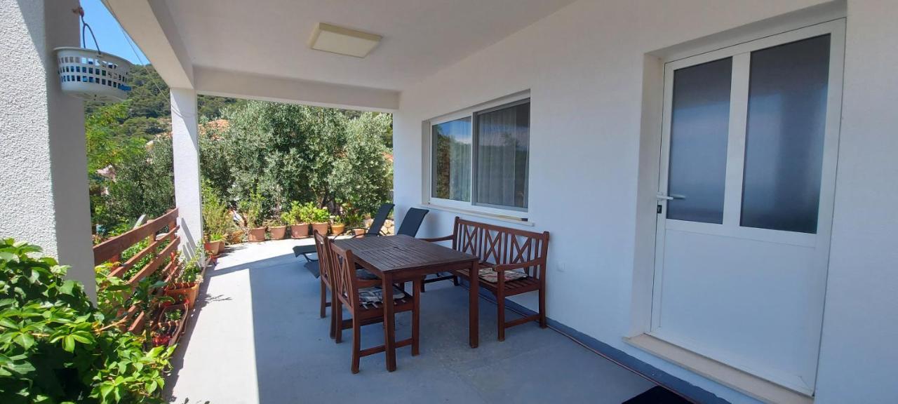 Apartment Kristic - Saplunara, Mljet Babino Polje Extérieur photo