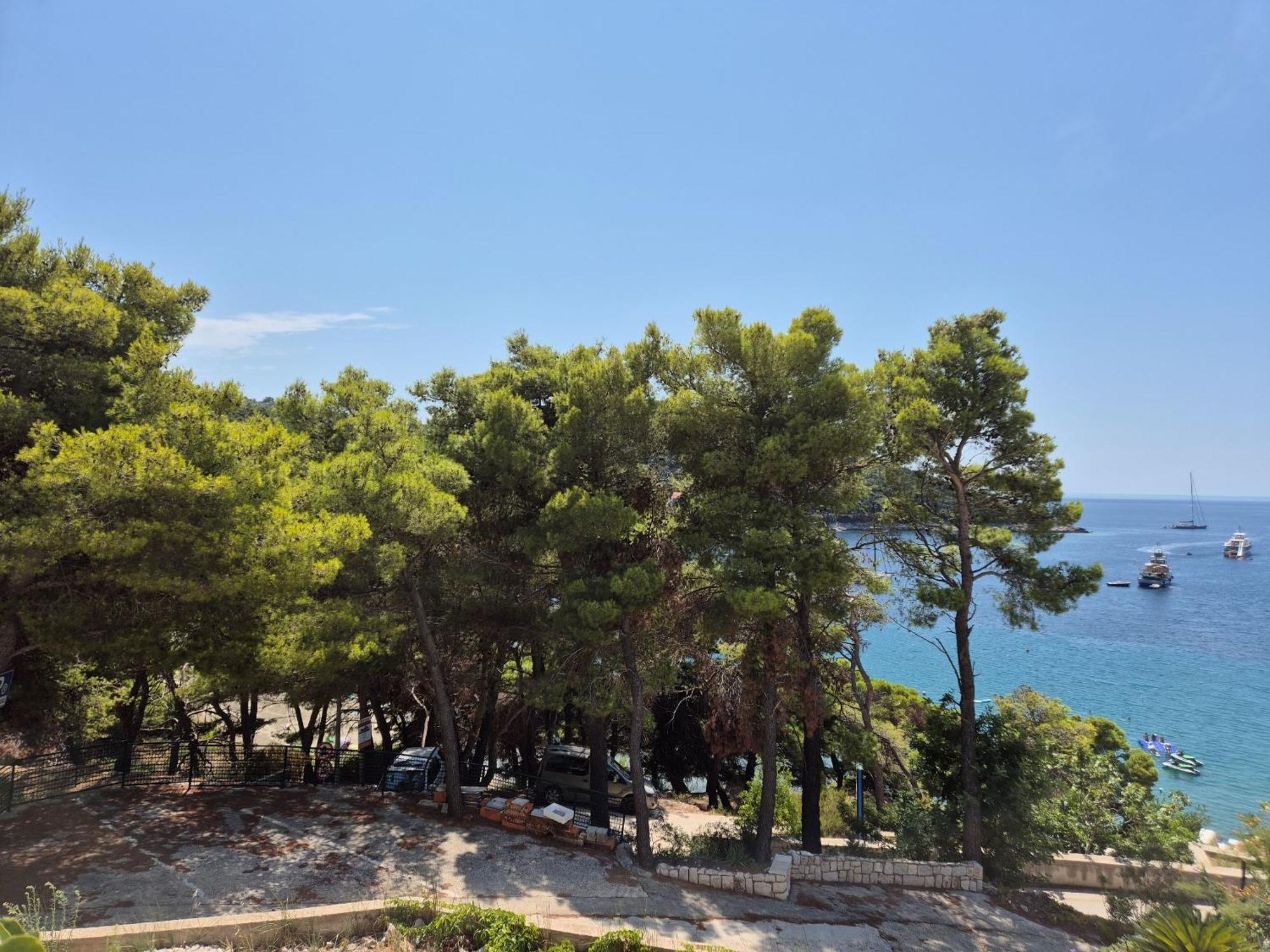 Apartment Kristic - Saplunara, Mljet Babino Polje Extérieur photo